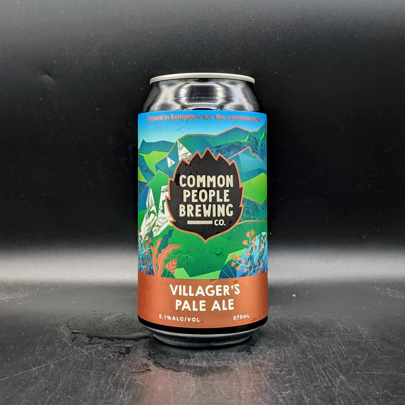 Common People Villagers Pale Ale Can Sgl Sgl