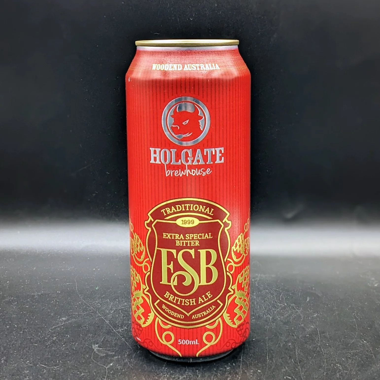 Holgate ESB